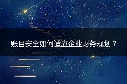 账目安全如何适应企业财务规划？