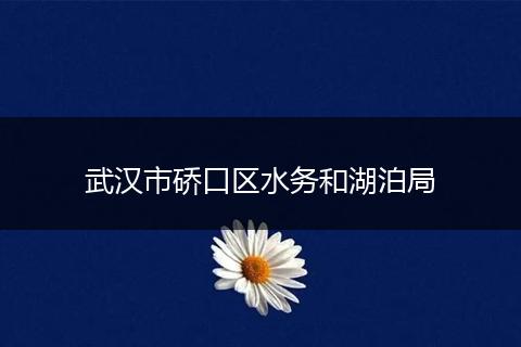 武汉市硚口区水务和湖泊局