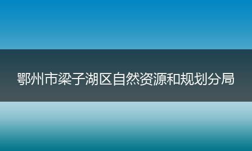 鄂州市梁子湖区自然资源和规划分局