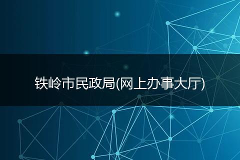 铁岭市民政局(网上办事大厅)