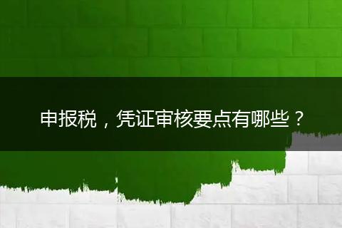 申报税，凭证审核要点有哪些？