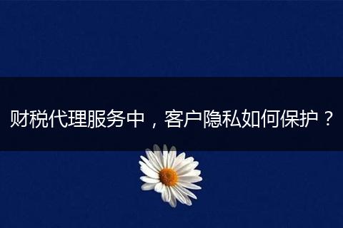 财税代理服务中，客户隐私如何保护？