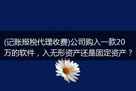 (记账报税代理收费)公司购入一款20万的软件，入无形资产还是固定资产？