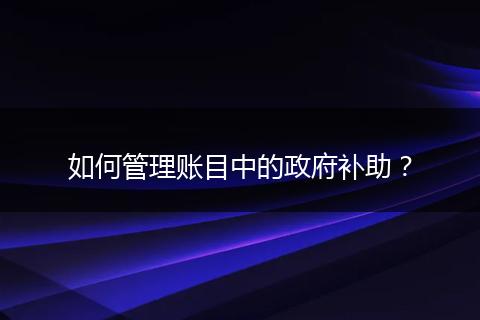 如何管理账目中的政府补助？