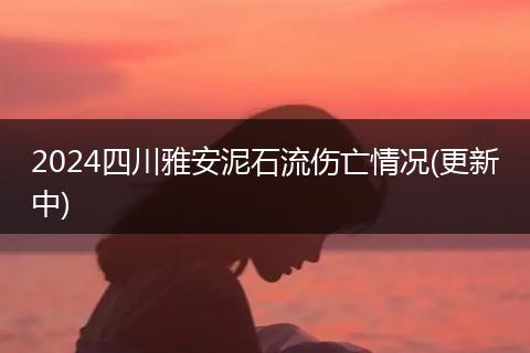 2024四川雅安泥石流伤亡情况(更新中)