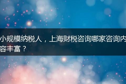 小规模纳税人，上海财税咨询哪家咨询内容丰富？