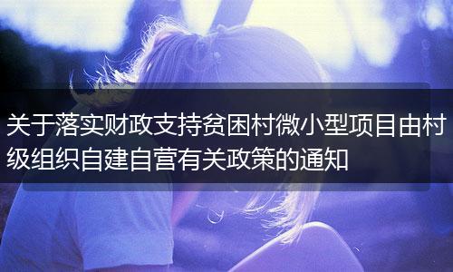 关于落实财政支持贫困村微小型项目由村级组织自建自营有关政策的通知