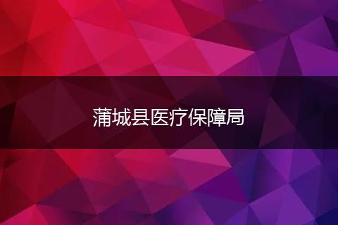 蒲城县医疗保障局