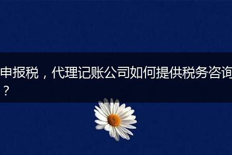 申报税，代理记账公司如何提供税务咨询？