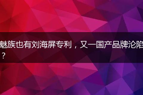 魅族也有刘海屏专利,又一国产品牌沦陷?