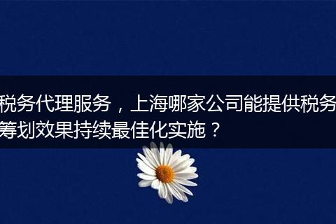 税务代理服务，上海哪家公司能提供税务筹划效果持续最佳化实施？