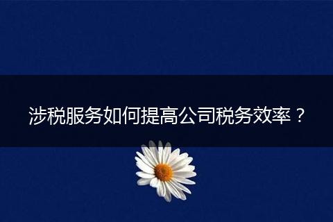 涉税服务如何提高公司税务效率？