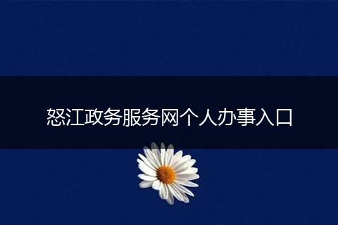 怒江政务服务网个人办事入口