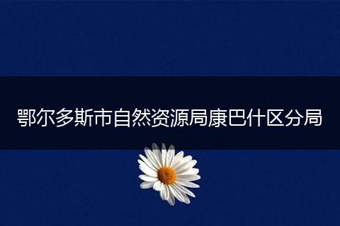 鄂尔多斯市自然资源局康巴什区分局