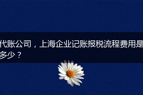 代账公司，上海企业记账报税流程费用是多少？