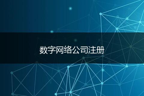数字网络公司注册