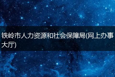 铁岭市人力资源和社会保障局(网上办事大厅)