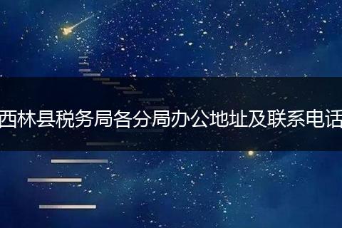 西林县税务局各分局办公地址及联系电话