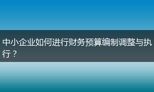 中小企业如何进行财务预算编制调整与执行？