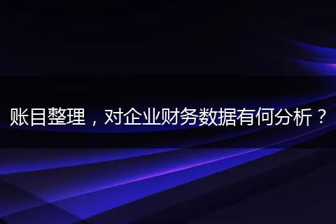 账目整理，对企业财务数据有何分析？