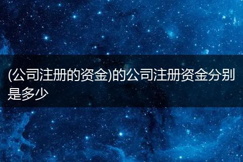 (公司注册的资金)的公司注册资金分别是多少