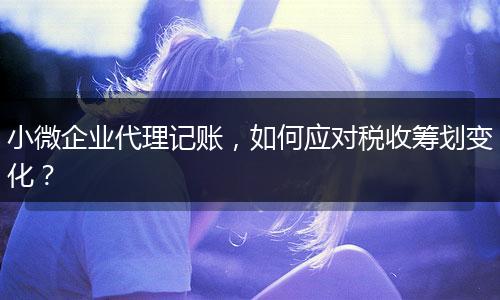 小微企业代理记账，如何应对税收筹划变化？