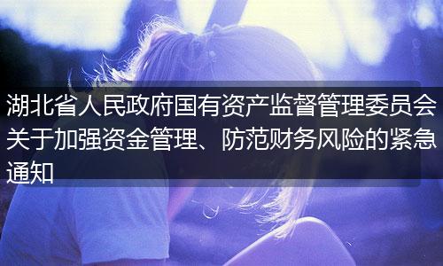 湖北省人民政府国有资产监督管理委员会关于加强资金管理、防范财务风险的紧急通知