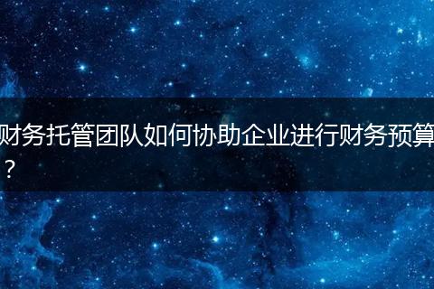 财务托管团队如何协助企业进行财务预算？