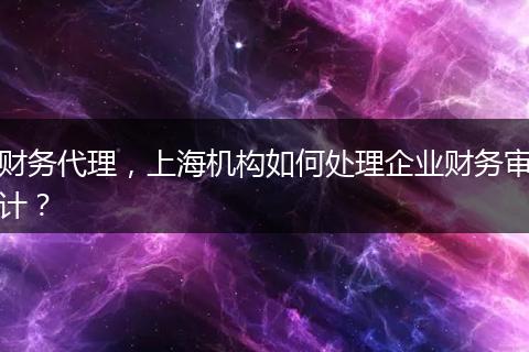 财务代理，上海机构如何处理企业财务审计？