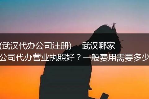 (武汉代办公司注册)    武汉哪家公司代办营业执照好？一般费用需要多少