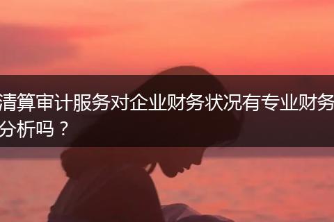 清算审计服务对企业财务状况有专业财务分析吗？