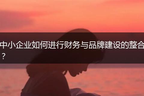 中小企业如何进行财务与品牌建设的整合？