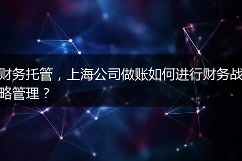 财务托管，上海公司做账如何进行财务战略管理？