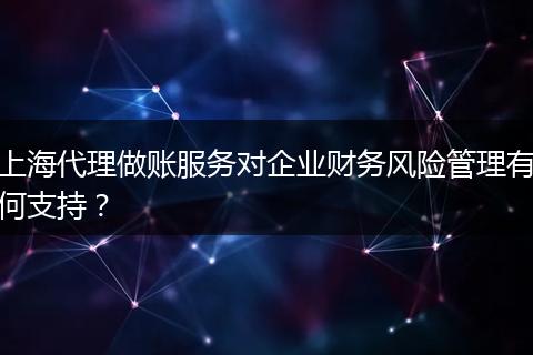 上海代理做账服务对企业财务风险管理有何支持？