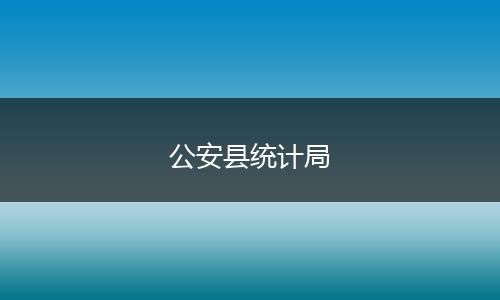 公安县统计局
