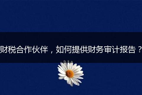 财税合作伙伴，如何提供财务审计报告？