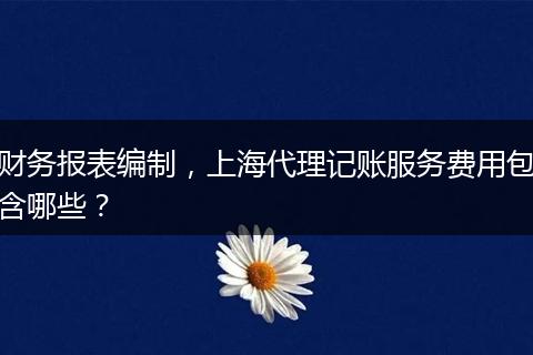 财务报表编制，上海代理记账服务费用包含哪些？