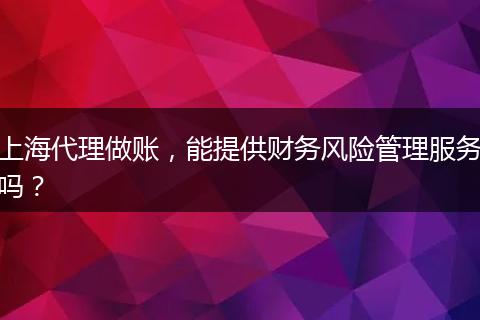 上海代理做账，能提供财务风险管理服务吗？