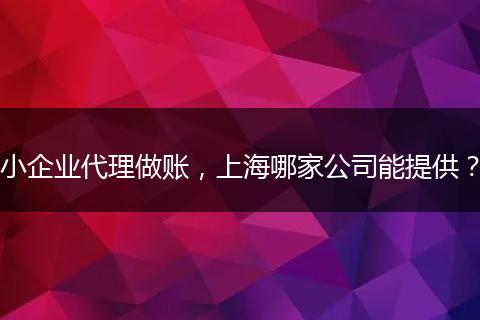 小企业代理做账，上海哪家公司能提供？