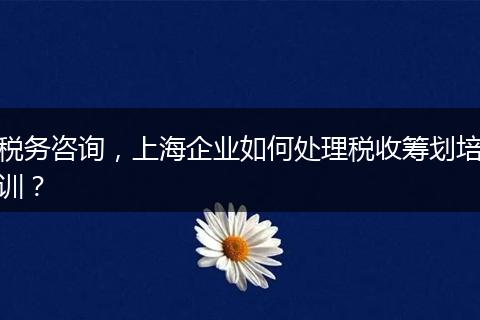 税务咨询，上海企业如何处理税收筹划培训？