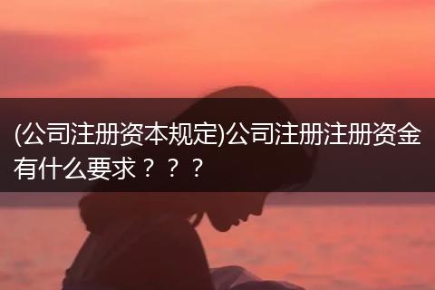(公司注册资本规定)公司注册注册资金有什么要求？？？