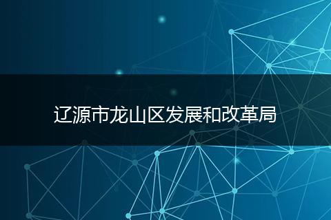 辽源市龙山区发展和改革局