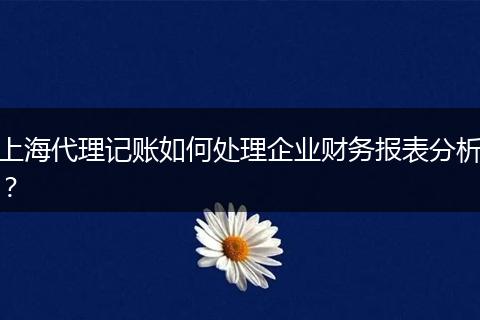 上海代理记账如何处理企业财务报表分析？