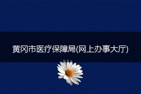 黄冈市医疗保障局(网上办事大厅)