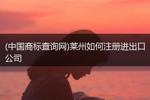 (中国商标查询网)莱州如何注册进出口公司