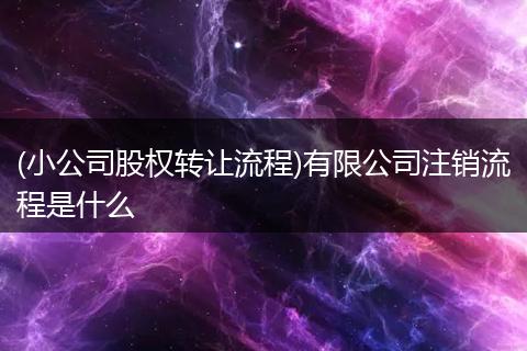 (小公司股权转让流程)有限公司注销流程是什么