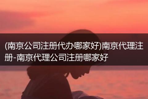 (南京公司注册代办哪家好)南京代理注册-南京代理公司注册哪家好