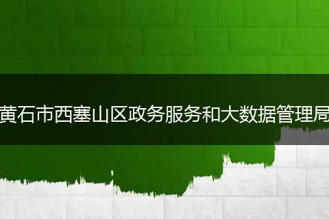 黄石市西塞山区政务服务和大数据管理局