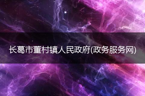 长葛市董村镇人民政府(政务服务网)