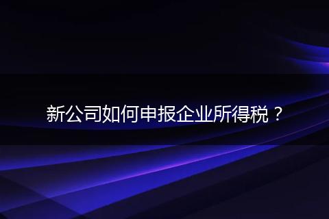 新公司如何申报企业所得税？